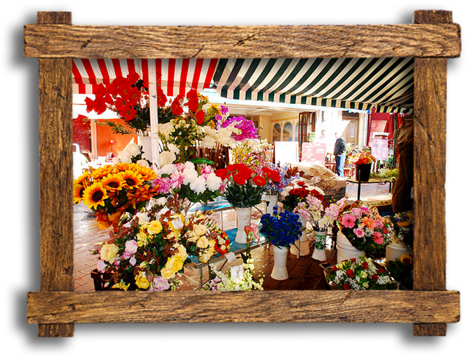 Chasse aux Trésors - Le marché aux fleurs de Nice (Cours Saleya)